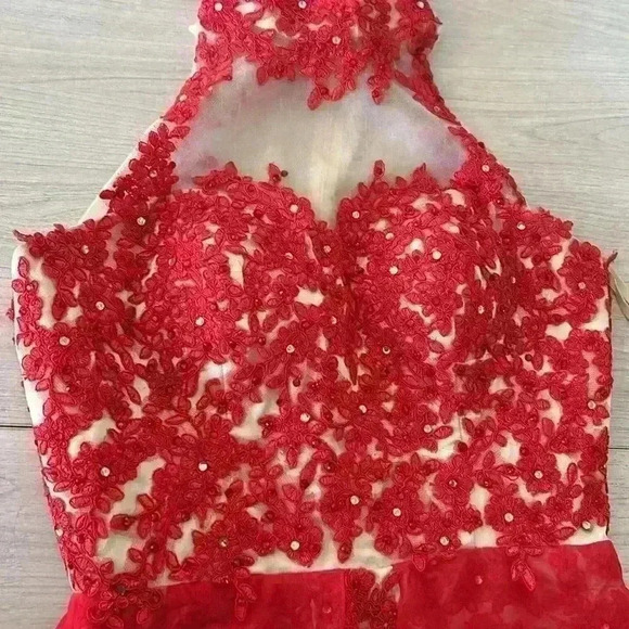 Red and Cream Floral Lace Halter Neck Evening Gown Prom Dress - Picture 5 of 17
